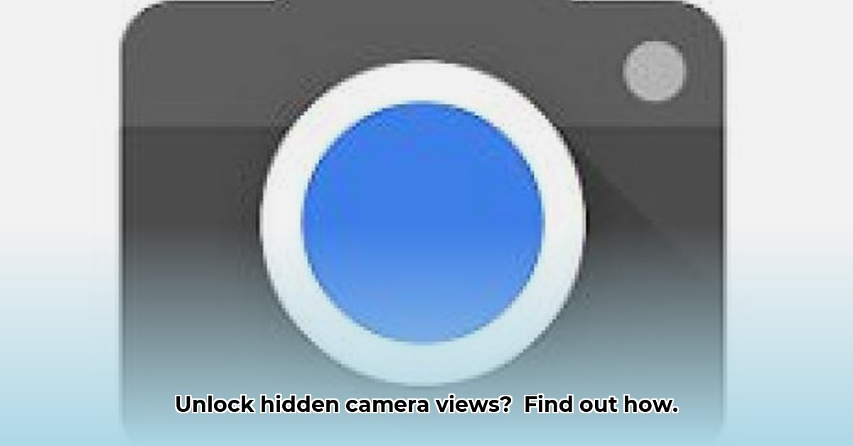 camera-view-apk